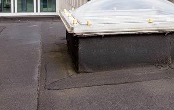 disadvantages of Burton Pedwardine flat roofs